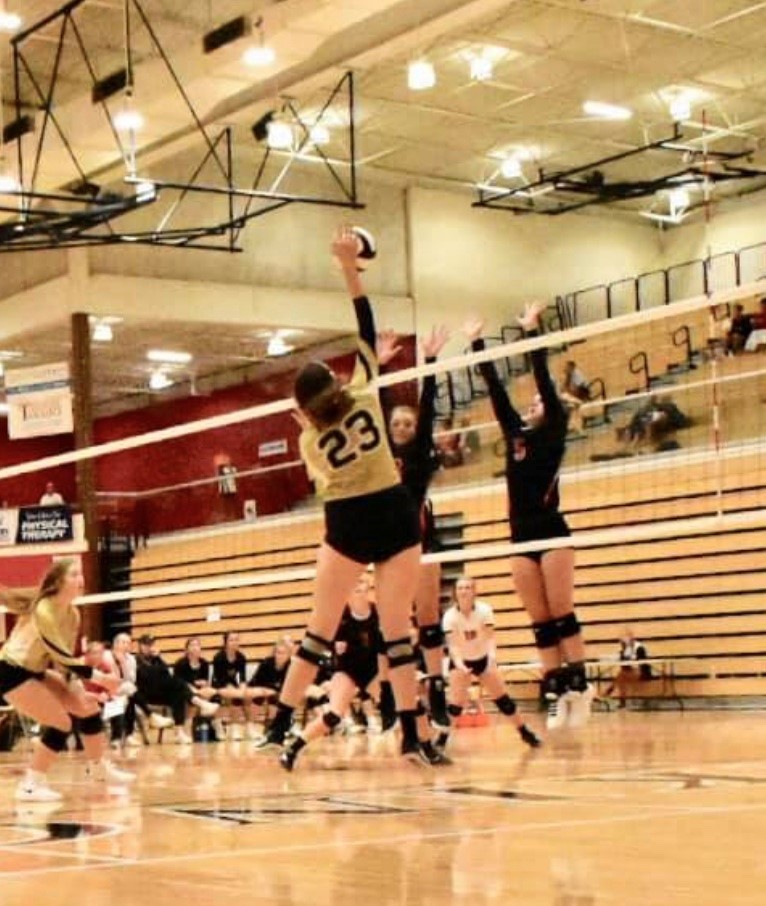 Students in School Activites (Athletics, Classrooms, Plays, Band, Art Projects) (PHS Volleyball Game 2019-09-01.jpg)